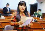 Foto: cortesía Congreso de la República