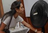 Foto: cortesía