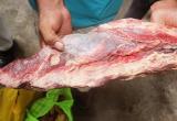 Carne en mal estado fue decomisada de los mercados de Chiclayo. (Foto MPCh)
