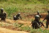 Foto: Cortesía Ejército Peruano Foto: Cortesía Ejército Peruano