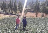 Foto referencial- Internet