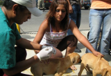 (Foto medios-difusión)