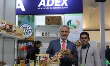 Foto: ADEX