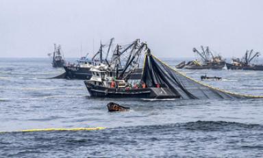 Foto: cortesía Andina
