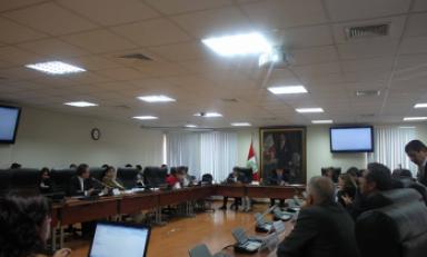 Representantes de Adex se presentaron ante la Comisión de Comercio Exterior del Congreso.