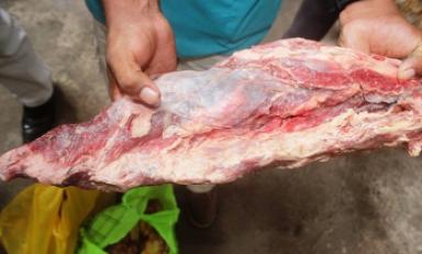 Carne en mal estado fue decomisada de los mercados de Chiclayo. (Foto MPCh)