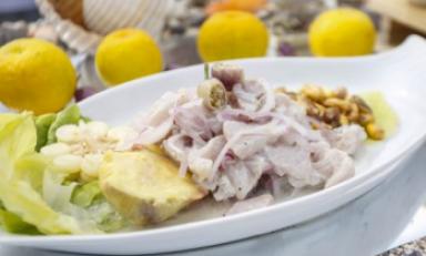 Foto: Internet Foto: Internet