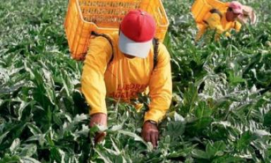 Foto referencial- Internet