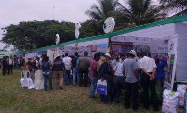 Agricultores y productores participan de la Primera Feria de Innovación en Lambayeque