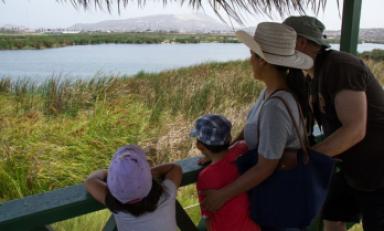 Foto: Internet Foto: Internet