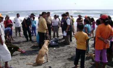 Foto: Referencial