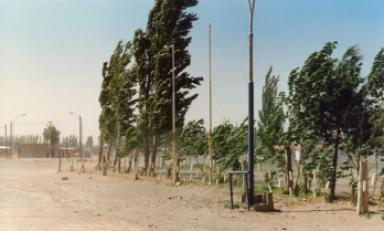 Foto: Cortesía Andina