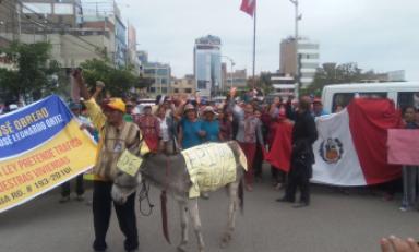 Foto: cortesía
