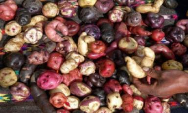 Foto referencial - internet