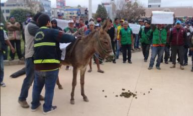 Foto cortesía