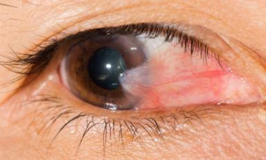 Foto Shepard Eye Center