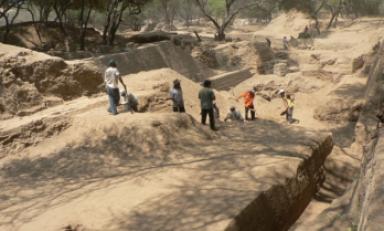 Visitas al Santuario Bosque de Pómac se duplicaron durante Fiestas Patrias
