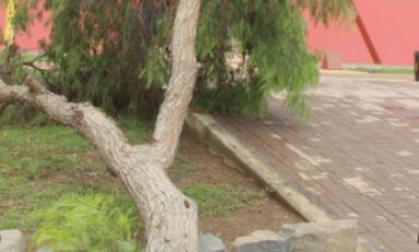 Foto: andina